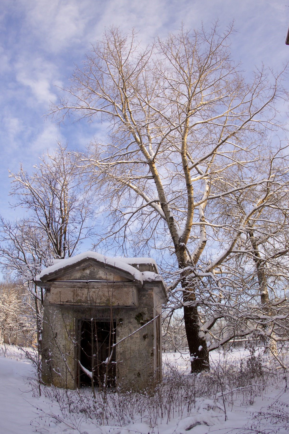 Ни князей, ни красных