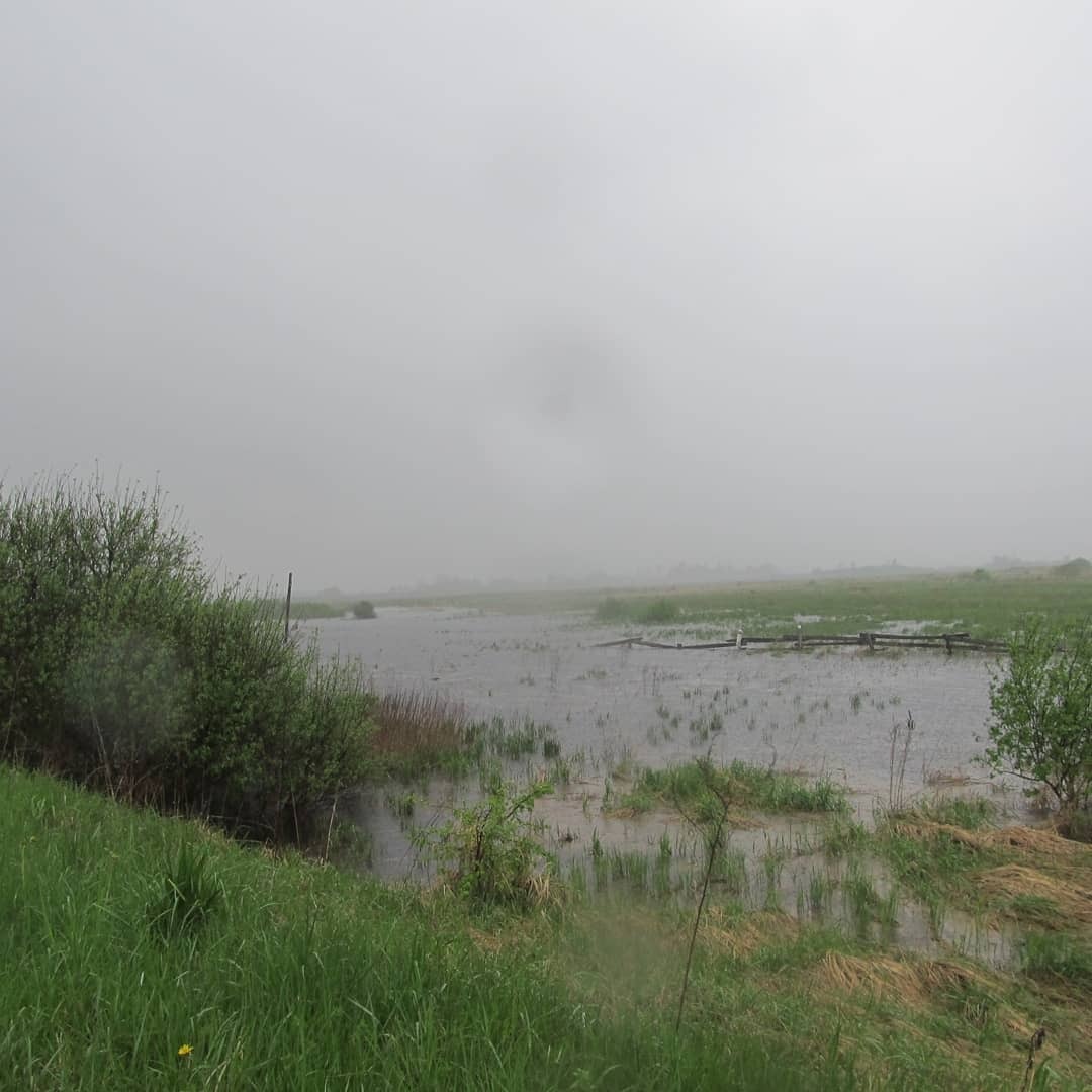 Сильные дожди и подтопления прогнозируют синоптики на востоке и юго-востоке Псковской области