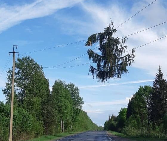Энергетики Псковской области с 19 мая перешли на особый режим работы