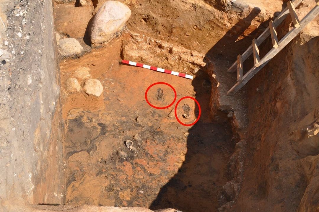 219709953_525497588689115_4424324056155344552_n