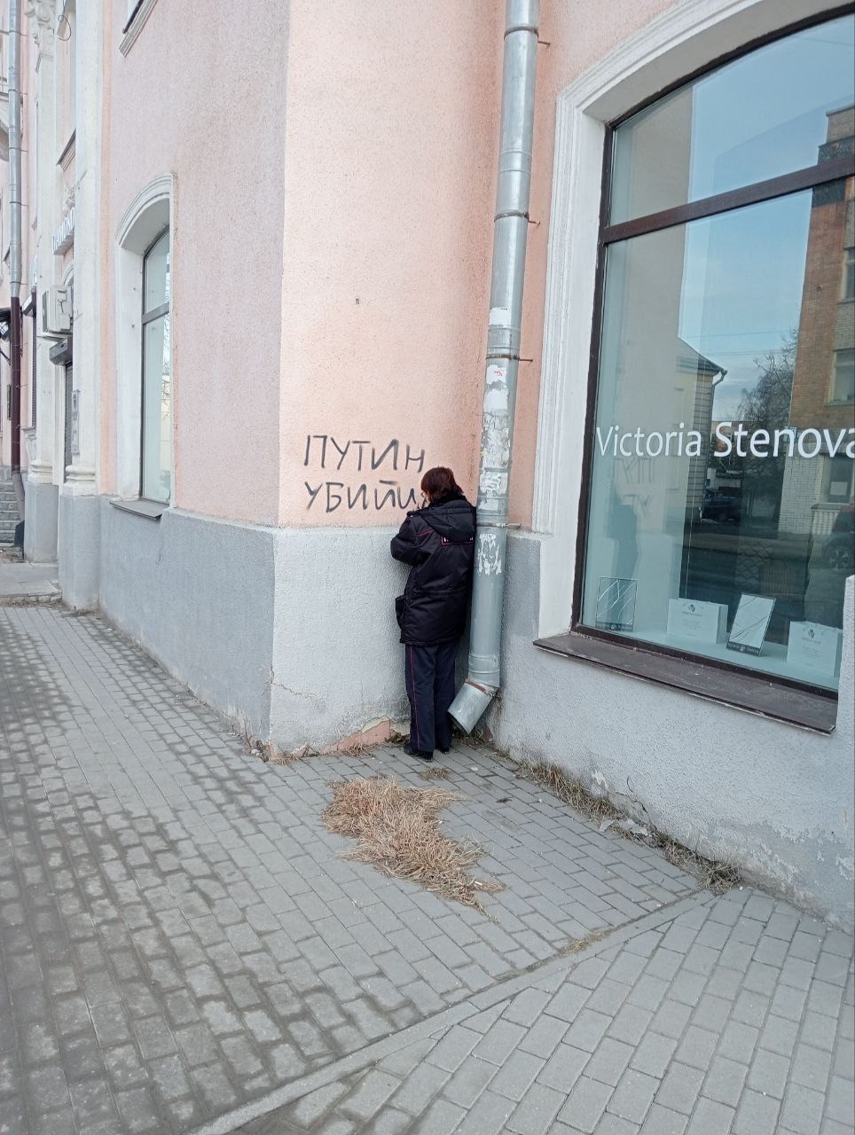 Псковичу дали 12 суток за надписи на фасадах домов на улице Советской  «Путин — убийца»