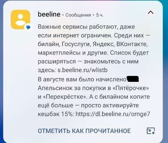  В Псковской области мобильные операторы t2 и Билайн стали сообщать о работе «белых списков» сайтов